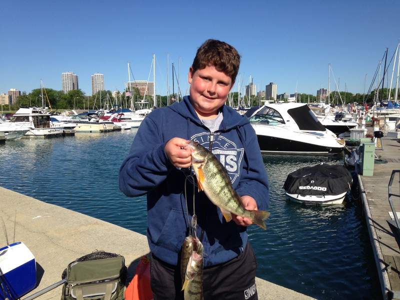 Caught a Perch on Lake Michigan Illinois using a Live shiner