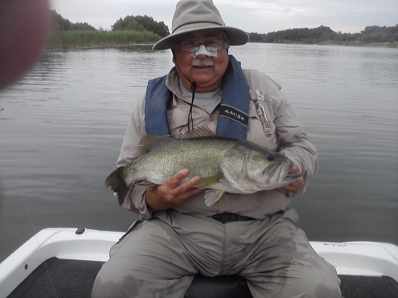 Caught a Largemouth Bass on Coleto Creek Reservoir using a