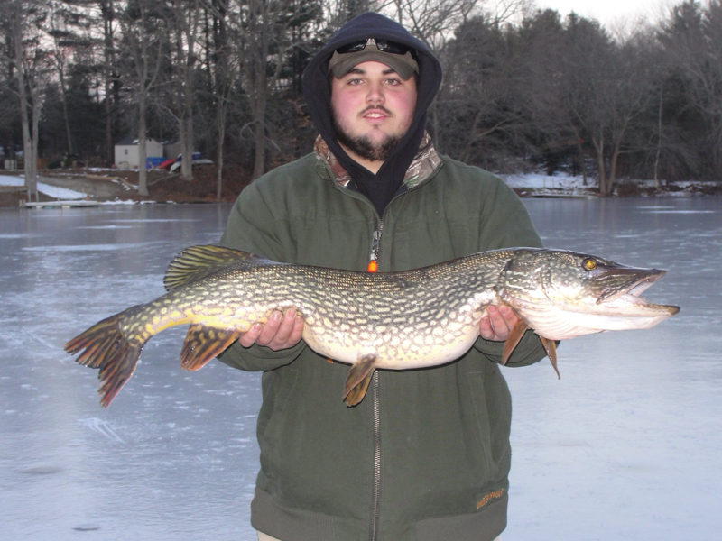 Caught a Northern Pike on Pachaug Pond