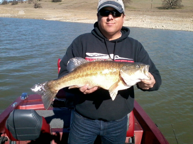 Caught a Largemouth Bass on Black Butte Lake using a chatter bait