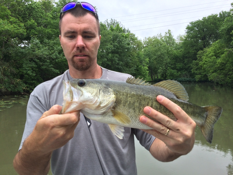 Caught a Largemouth Bass on Guadalupe River using a live bait