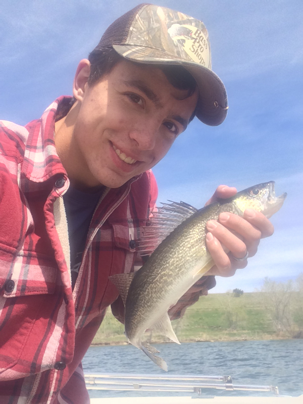 Caught a Walleye on Chatfield Lake using a Jig