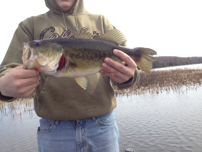 Caught a Largemouth Bass on Hamlin Lake using a zoom fluke