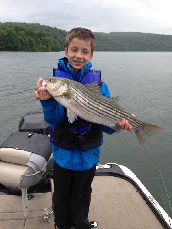Caught a Striped Bass on Raystown Lake