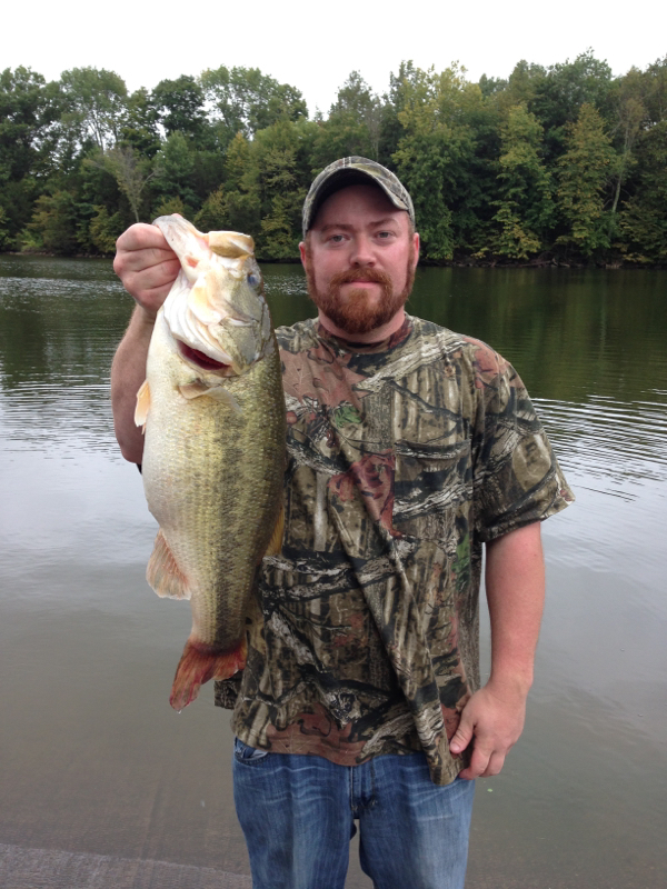 Ky Lake Fishing / OCTOBER 23RD 2018 CEDAR CREEK LAKE FISHING REPORT