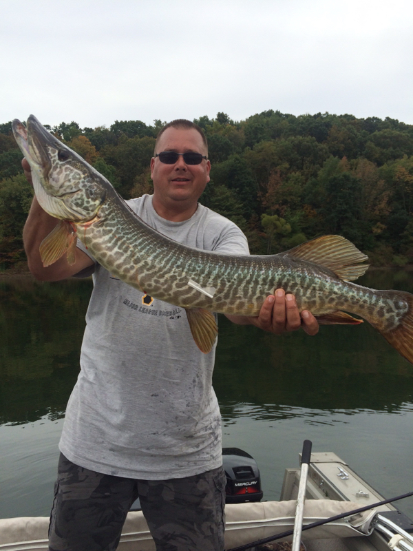 Caught a Tiger Muskellunge on Keystone Lake (Keystone Power Dam)