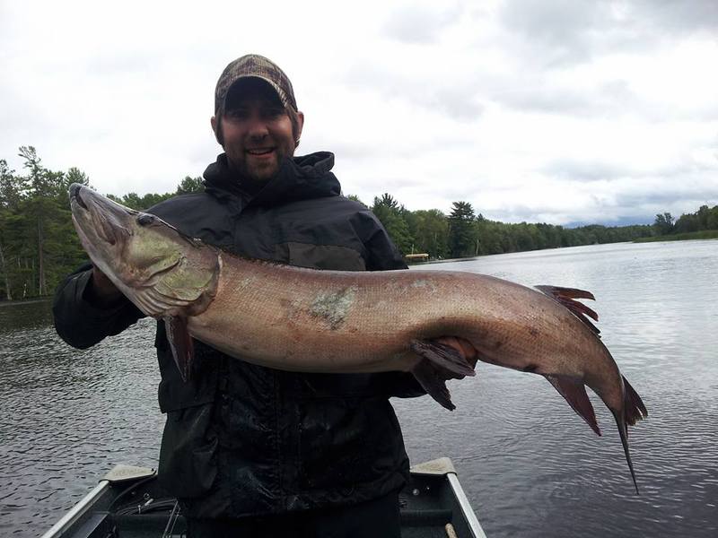 Caught a Muskellunge on Boom Lake & Rhinelander Flowage using a Bucktail