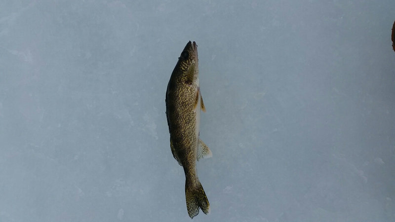 Lake Gogebic MI Fishing Reports, Map & Hot Spots