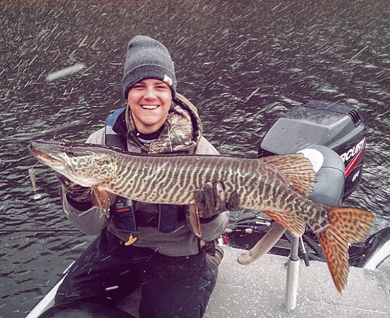 Caught a Tiger Muskellunge on Raystown Lake using a Alabama rig