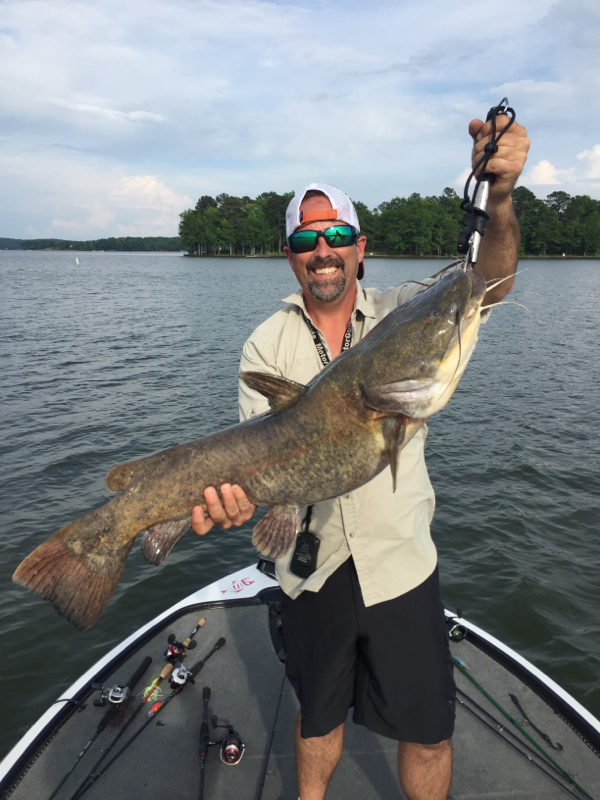 Caught a Flathead Catfish on Lake Oconee using a crankbait