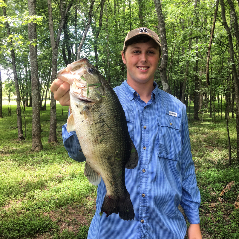 Caught a Largemouth Bass on Old Hickory Lake using a Rage Menace
