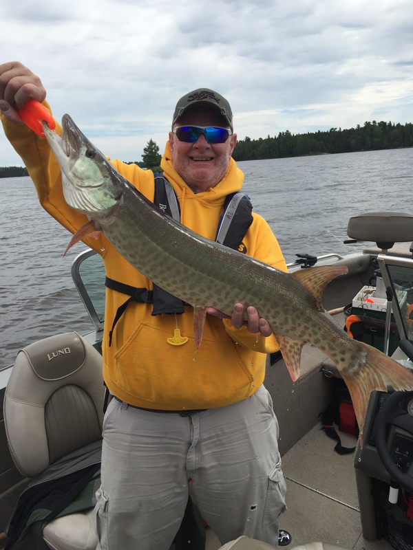 Caught a Muskellunge on Eagle Lake ontario using a Senko watermelon red