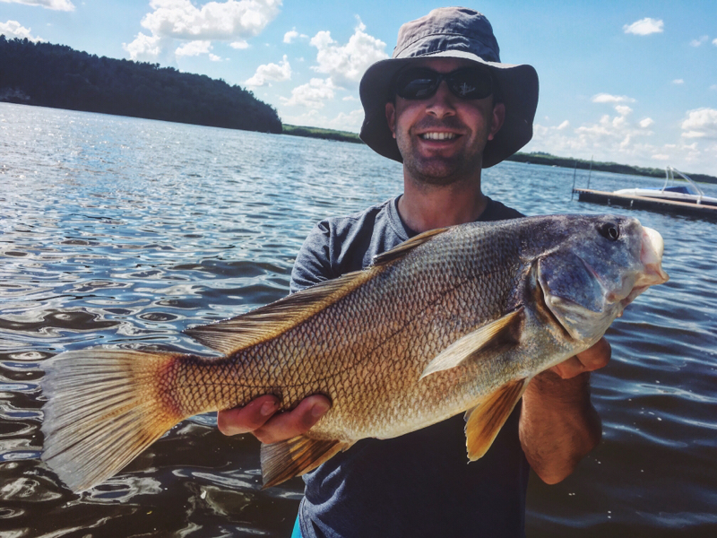 Caught a Freshwater Drum on Wisconsin River (Castle Rock Dam to