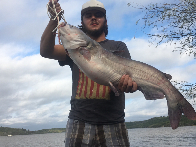 Caught a Blue Catfish on Possum Kingdom using a cut bait