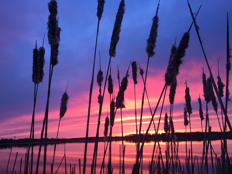 Camp Lake WI Fishing Reports, Map & Hot Spots