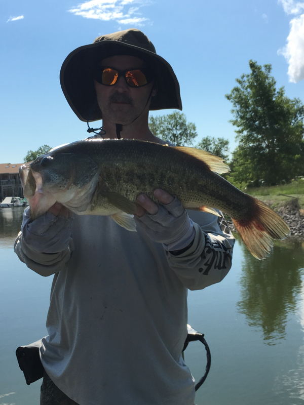 Caught a Largemouth Bass on Lake Erie Sandusky Bay
