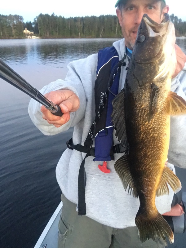 Caught a Walleye on TurtleFlambeau Flowage using a Jig n minnow