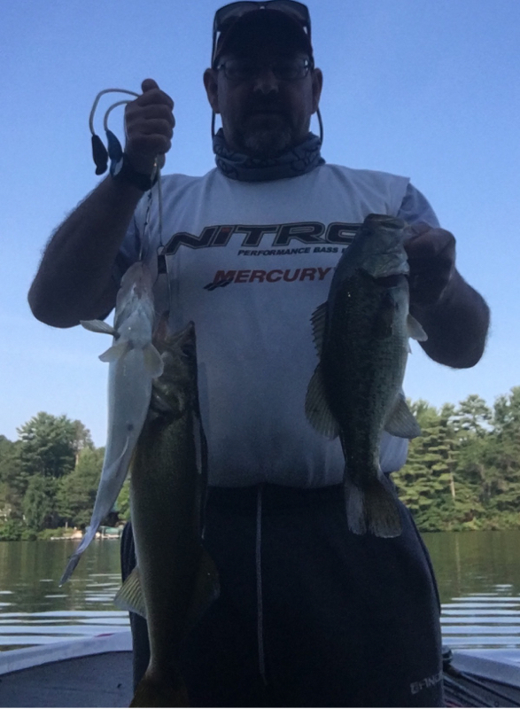 Caught a Walleye on Chetek Chain using a crank bait