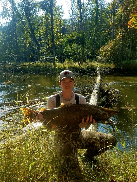 Caught a King Salmon on White River using a hotntot