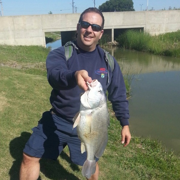 Caught a FreshwaterDrum / Gaspergou on using a swimbait