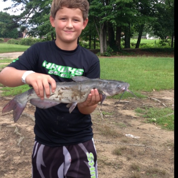 Caught a Channel Catfish on using a slim jim