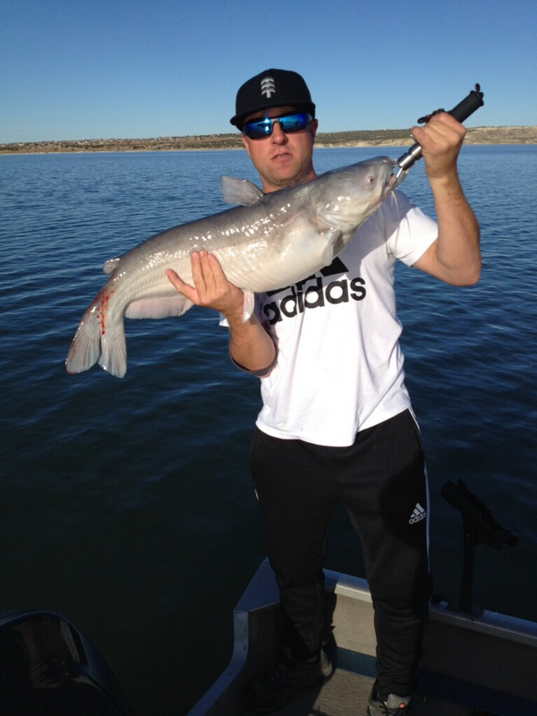 Caught a Blue Catfish on Pueblo Reservoir using a Lazer Blade