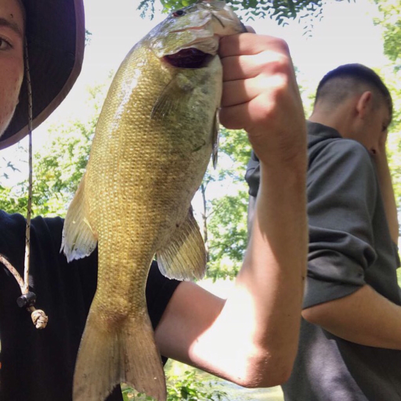 Piedmont Lake OH Fishing Reports, Map & Hot Spots