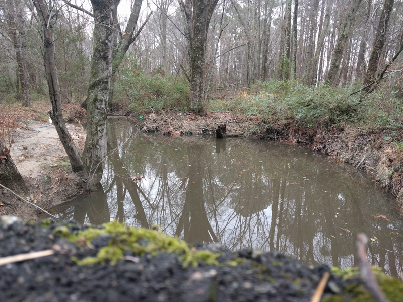 North Anna River VA Fishing Reports, Map & Hot Spots