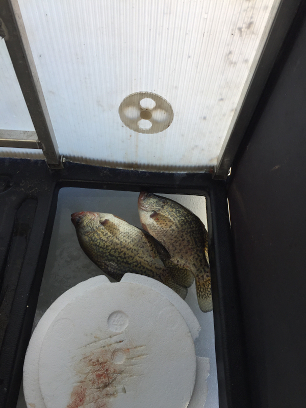 Petenwell Flowage WI Fishing Reports, Map & Hot Spots