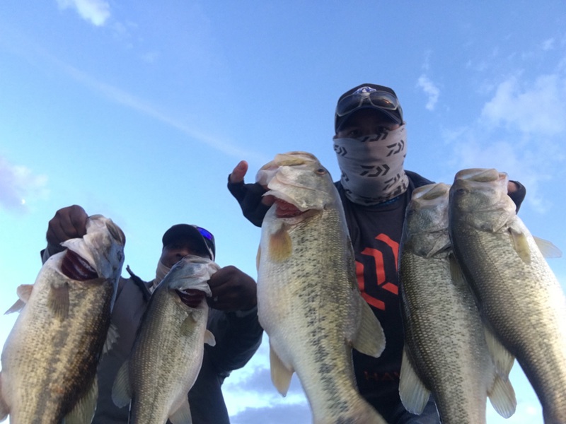 Caught a Largemouth Bass on Lake Buchanan using a Texas rig senko