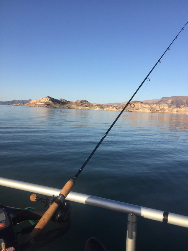 Lake Mead NV Fishing Reports, Map & Hot Spots
