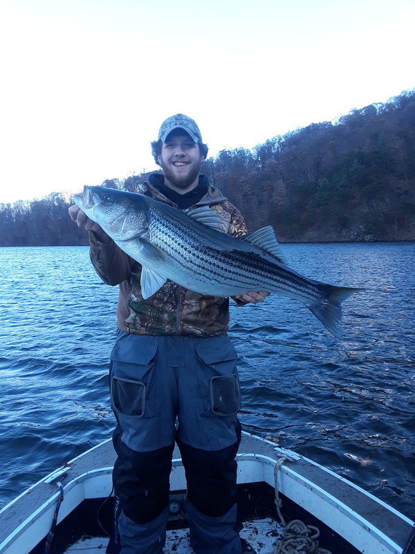 Caught a Striper on Raystown Lake using a Live bait