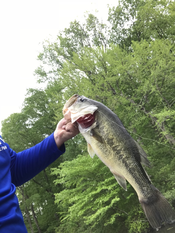Powhatan Lakes VA Fishing Reports, Map & Hot Spots