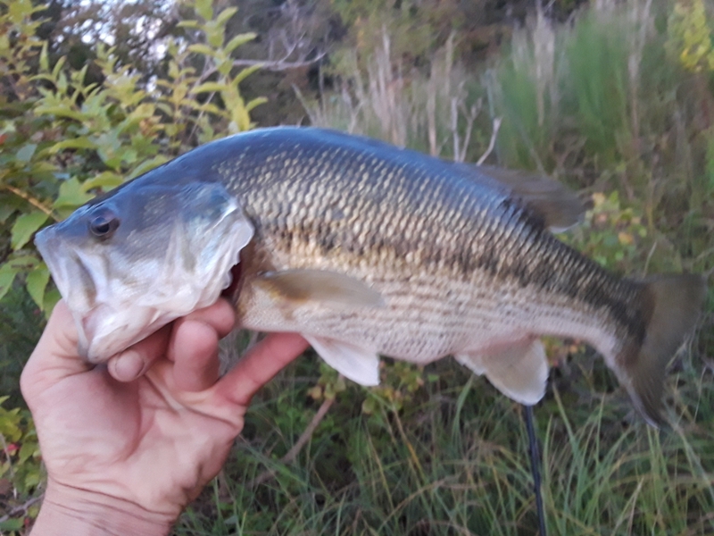 Lake Thunderbird Fishing Map Draw A Topographic Map