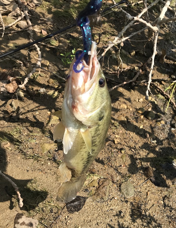 Caught a Largemouth Bass on Hoover Reservoir using a Soft Plastic bait