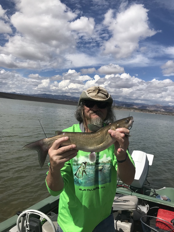 Caught a Channel Catfish on Cochiti Lake using a ckl