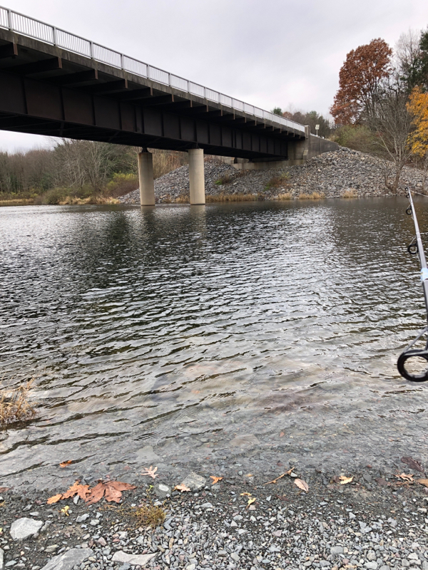 Beltzville Lake PA Fishing Reports, Map & Hot Spots