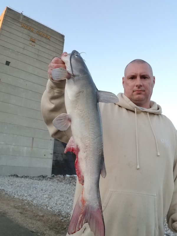 Fishidy