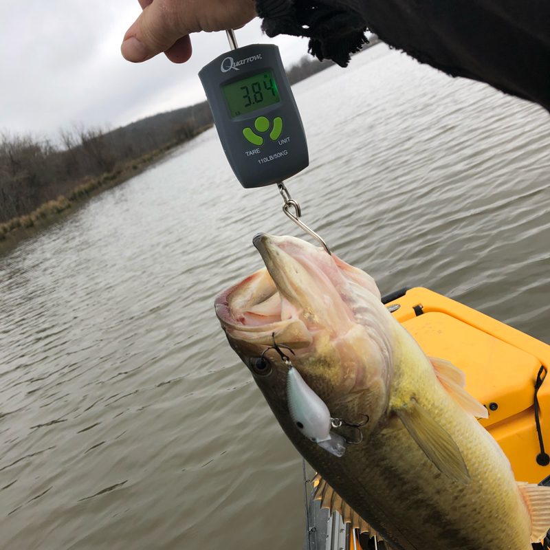 Caught a Largemouth Bass on Kiowa Lake Oklahoma using a kvd 1.5 shad