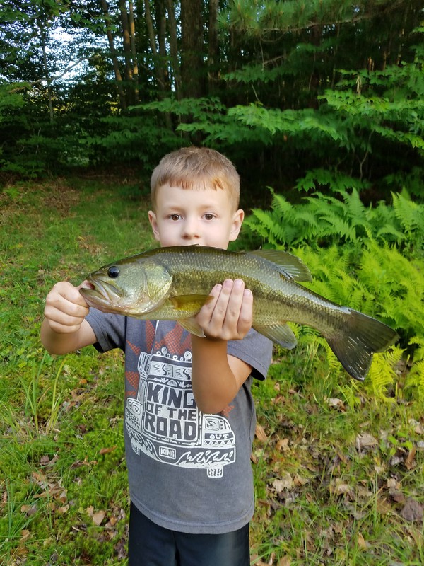 Caught a Largemouth Bass on Strip Pond (Grant County) WV using a crayfish jig
