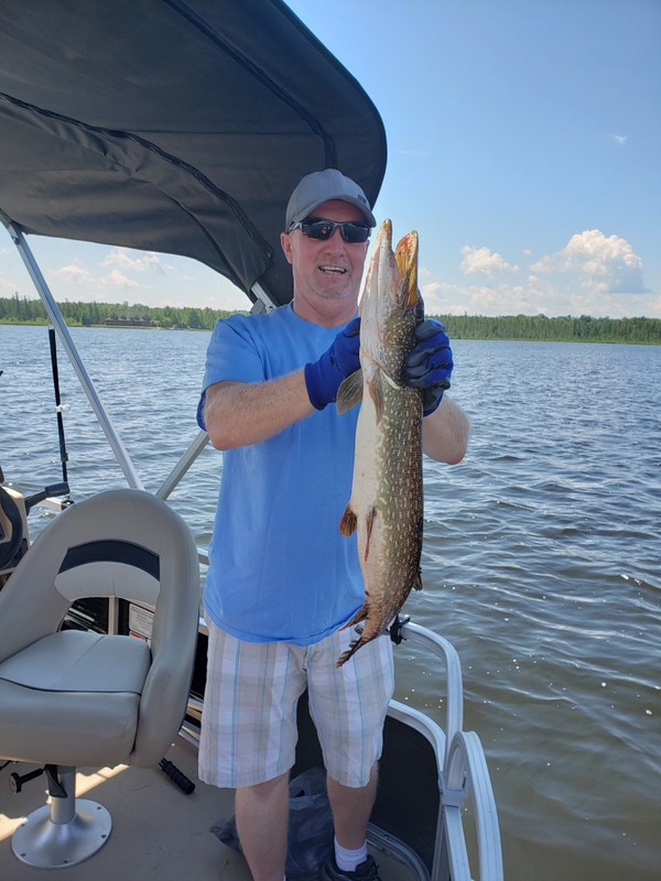 Lake Cadillac Fishing Report Seananon Jopower