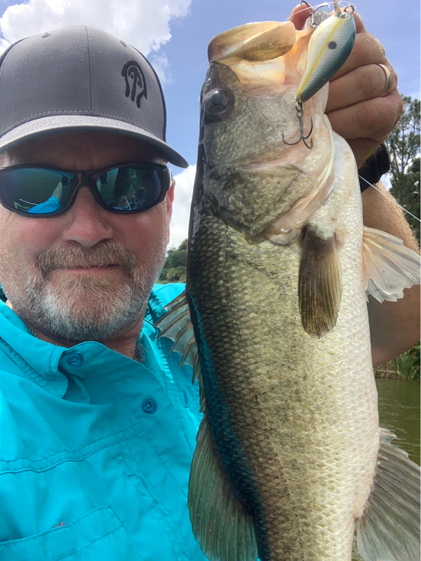 David Harper's Profile on Fishidy