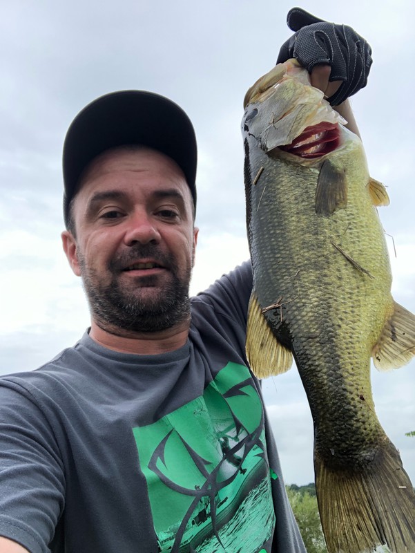 Fishidy