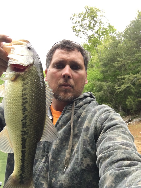 Douglas Lake Tennessee Fishing Report LAKE NICE