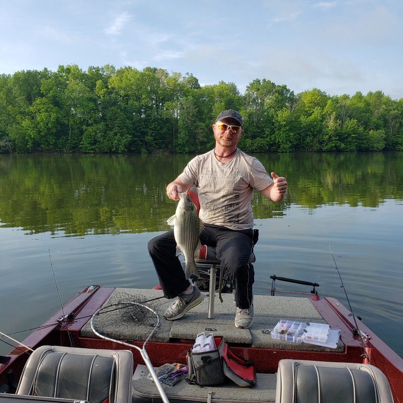 Caught a Striped Bass on Guist Creek Lake