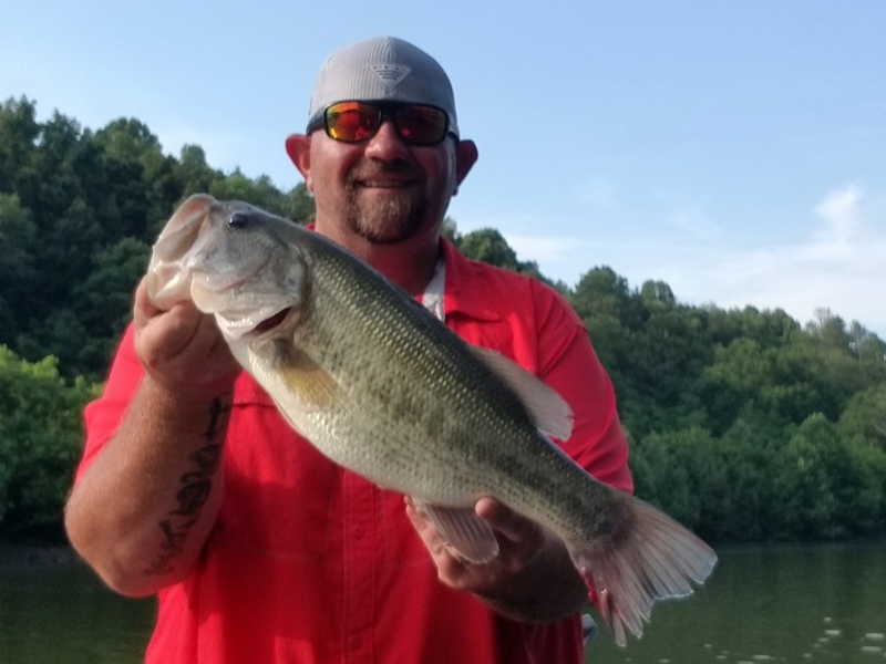 Fishidy