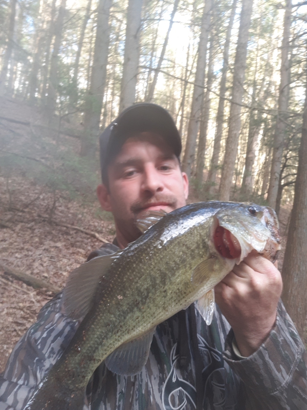 Fishidy