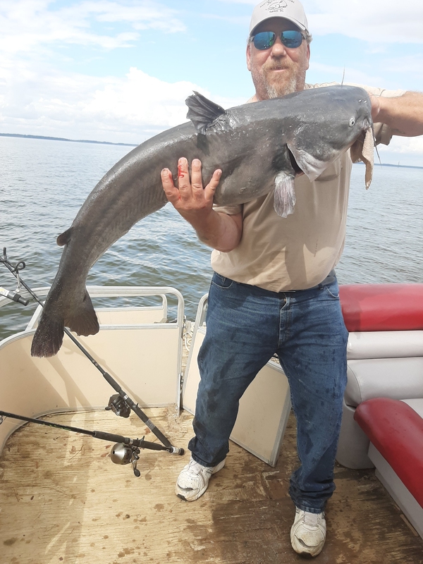 Caught a Blue Catfish on Lake Marion using a chicken breast