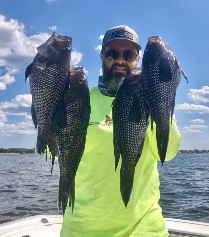 Caught a Black Sea Bass on Atlantic Ocean (New Jersey) using a Jig