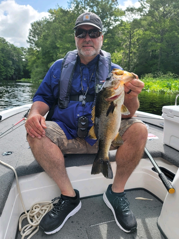 Caught a Largemouth Bass on Withlacoochee River using a Zoom Super Fluke